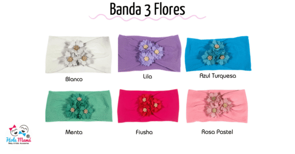 Banda 3 Flores - Imagen 2